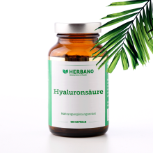 Hyaluronsäure Kapseln