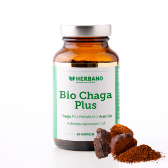 Bio Chaga Extrakt Kapseln