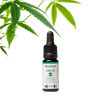 CBD Öl für Tiere