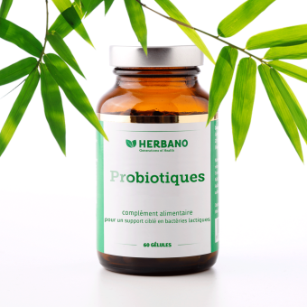 Gélules de Probiotiques