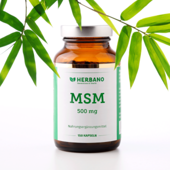 MSM Kapseln hochdosiert (Methylsulfonylmethan)