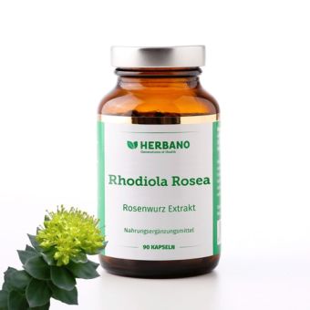 Rosenwurz Kapseln 100 % reiner Extrakt aus Rhodiola Rosea