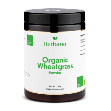 Wheatgrass Powder