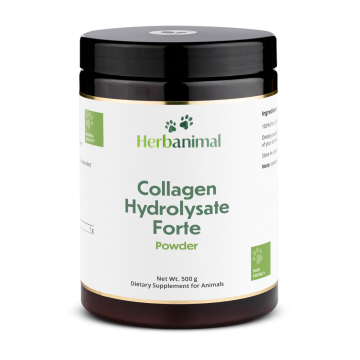 Collagen for Animal