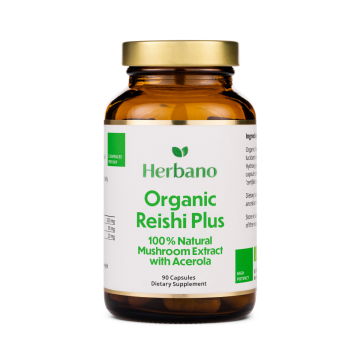 Reishi Mushroom Extract