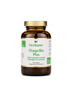 Estratto di fungo Chaga biologico in Capsule - Potente antiossidante e antinfiammatorio
