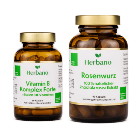 Anti-Stress Paket Vitamin B-Komplex und Rhodiola Rosea (Rosenwurz)
