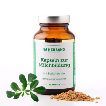 Bockshornklee Kapseln zur Milchbildung