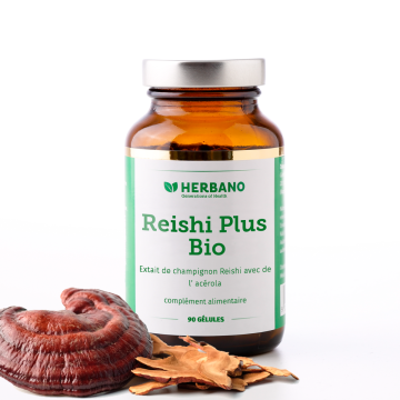 Extrait de Reishi bio