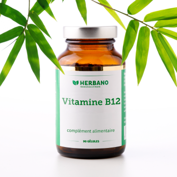 gélules de vitamine B12