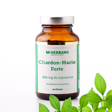 Gélules de Chardon-Marie Forte