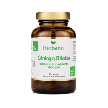 Ginkgo Biloba capsule