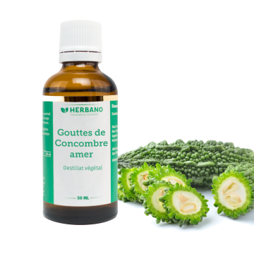 Gouttes de concombre amer