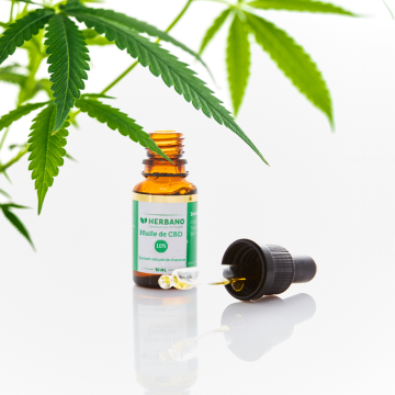 Huile de CBD 10 percent