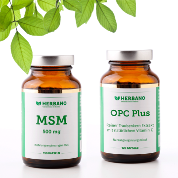 Stoffwechsel-Booster-Paket mit MSM und OPC