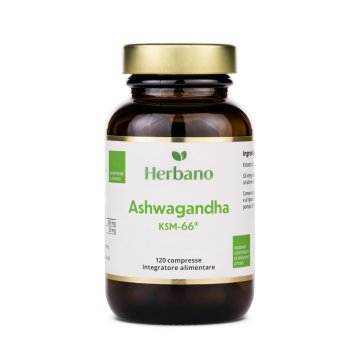 Ashwagandha compresse