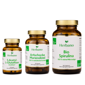 Detox Paket