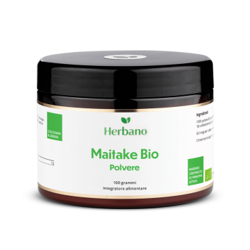 Maitake Biologico - Polvere di fungo medicinale pura al 100% - da coltivazione biologica controllata