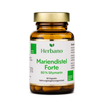 Mariendistel Kapseln
