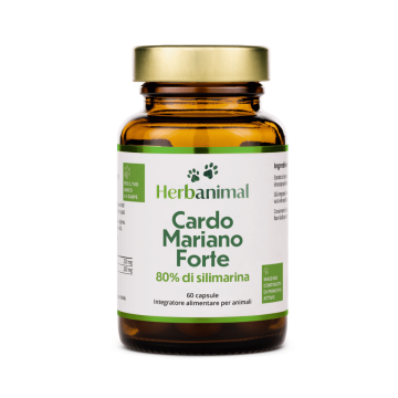 Cardo Mariano in Capsule per Cani