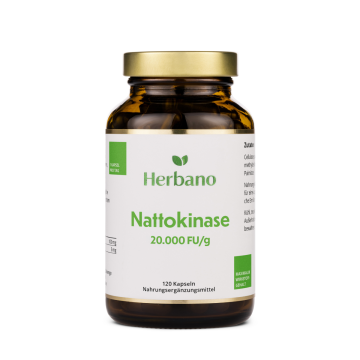Nattokinase Kapseln kaufen