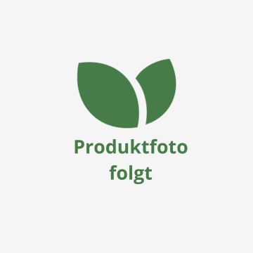 VagiMed - Milchsäurebakterien für die Scheide