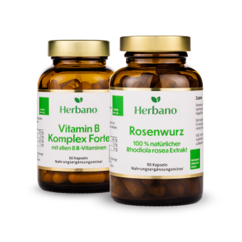 Anti-Stress Paket Vitamin B-Komplex und Rhodiola Rosea (Rosenwurz)