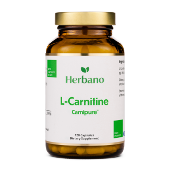 L Carnitine Supplement 