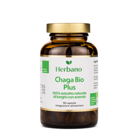 Capsule di estratto di Chaga biologico
