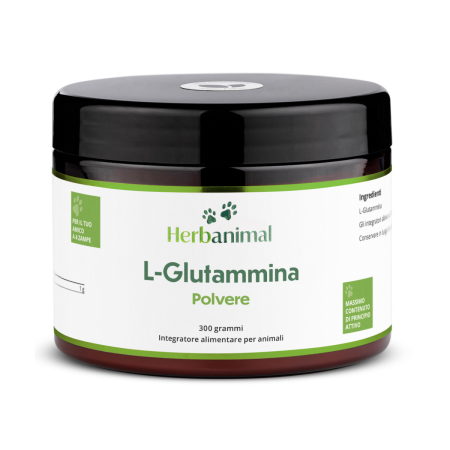 L-glutammina polvere per animali