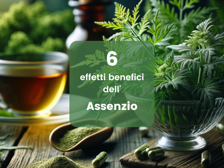 Assenzio: super-erba versatile per la tua salute | Herbano