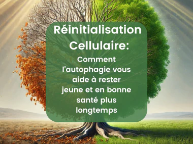 Chardon-Marie & Autophagie – Détox Cellulaire | Herbano