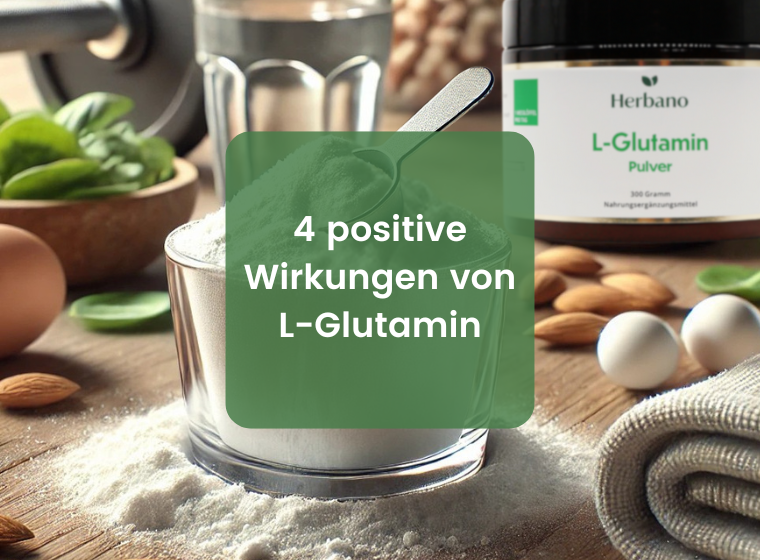 Der ultimative Ratgeber zu L-Glutamin: Vorteile & Anwendung | Herbano