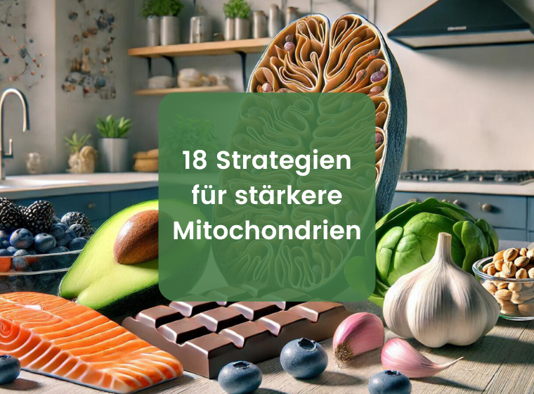 18 Wege, um Mitochondrien zu stärken | Herbano