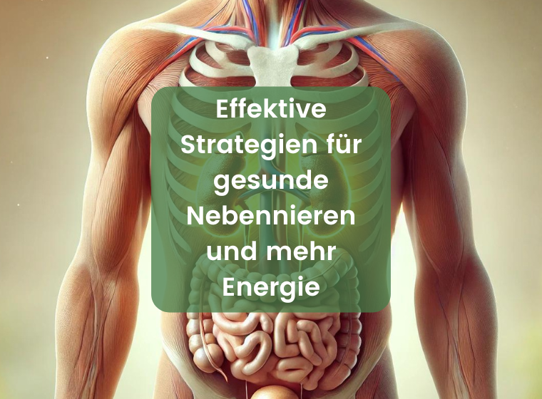 Adrenal insufficiency: Causes and Symptoms | Herbano