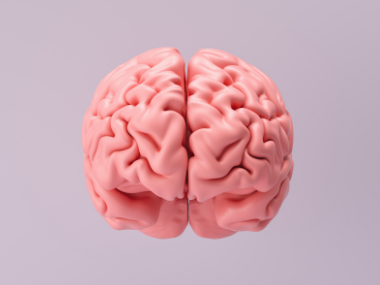 Nootropi: questi 6 prodotti aumentano le prestazioni cerebrali | Herbano