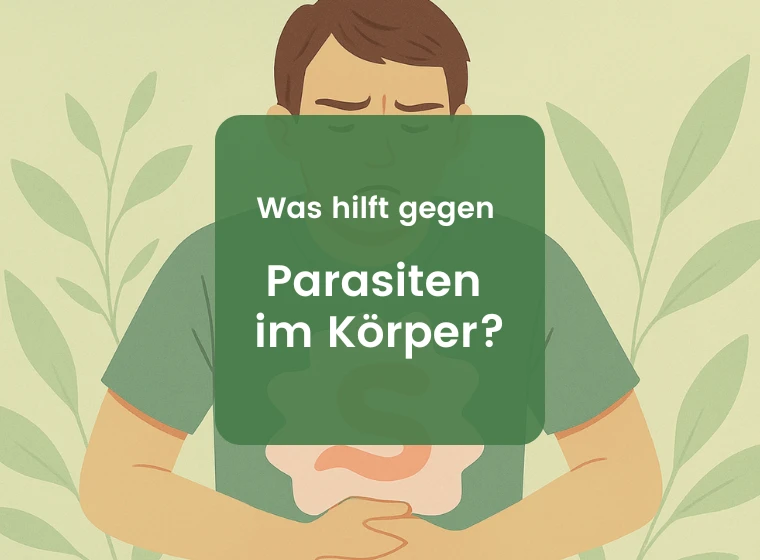 Parasiten im Körper: Wie man Parasiten ausleitet | Herbano