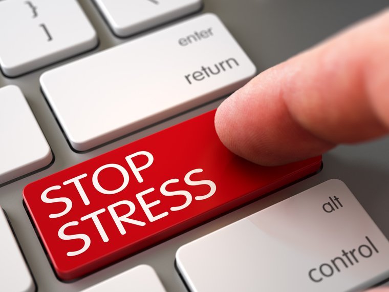 Wenn Stress gefährlich wird: 7 Anti-Stress-Tipps |Herbano
