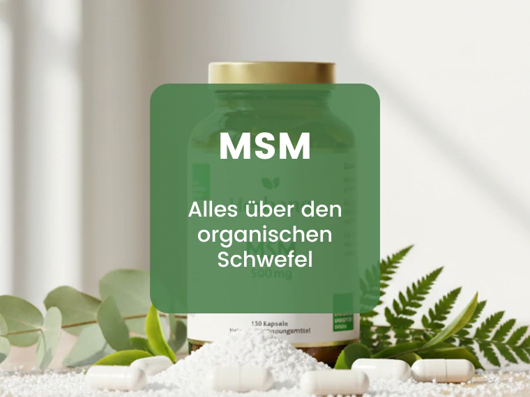 MSM: Wirkung und Anwendung – Der große Ratgeber | Herbano