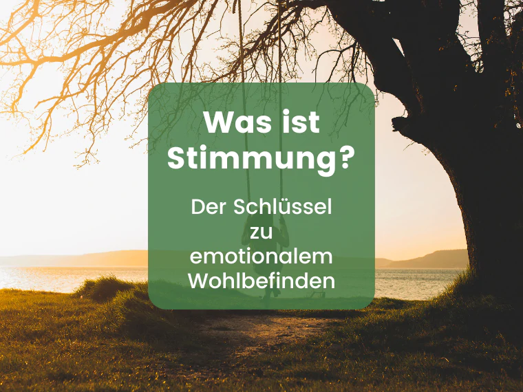 Stimmung verstehen: Wie unsere innere Verfassung entsteht und wirkt | Herbano