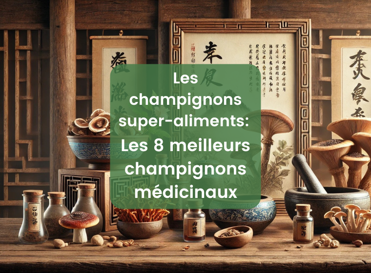 Les champignons vitaux - un super aliment pour la santé | Herbano