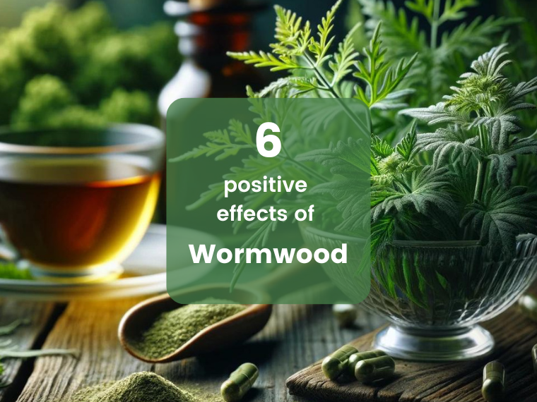 Wormwood: The versatile super herb for your health | Herbano