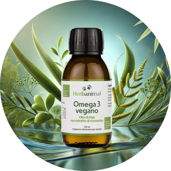 Olio di alghe per animali