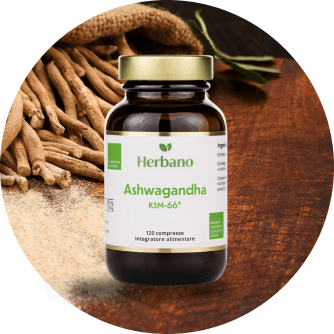 Ashwagandha compresse