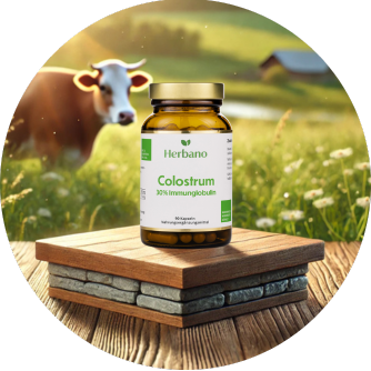 Colostrum Kapseln