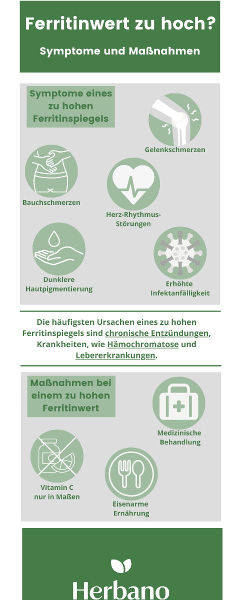 Ferritin zu hoch - Infografik