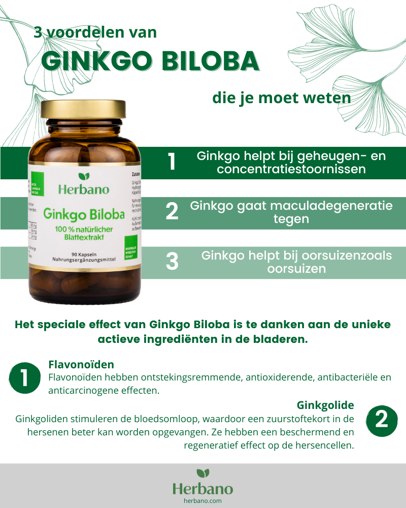 Ginkgo Biloba effect