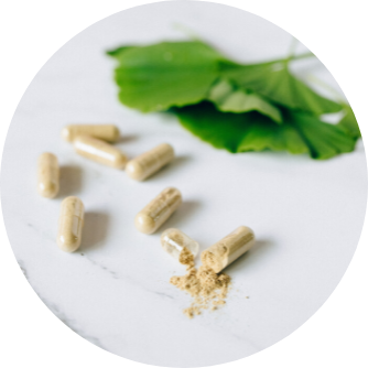 Ginkgo biloba Kapseln Inhaltsstoffe