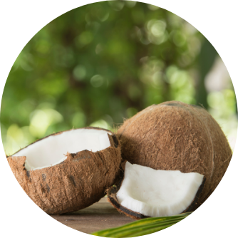 olio vergine di cocco