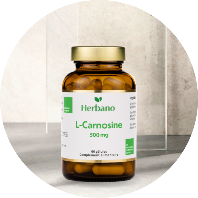 L-Carnosine en gélules
